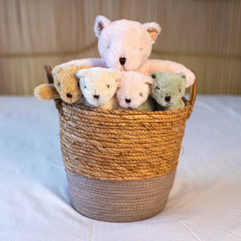 Lily & George Littlefoot Bear image number 1